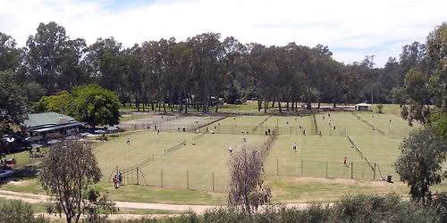 Junior Tennis Open Day