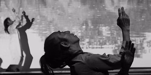 Frequency in Motion \/\/ Vernix