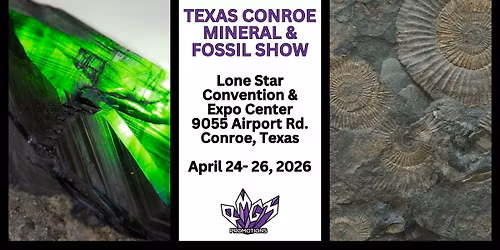 Texas Mineral & Fossil Conroe Show