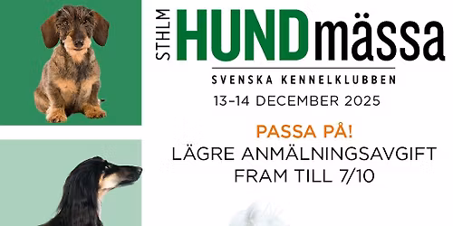 Stockholm Hundm\u00e4ssa 2025