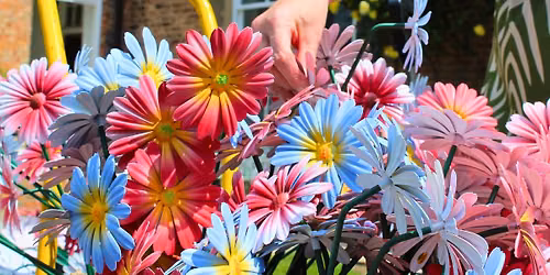 Flower Collection Day - Bloom in June