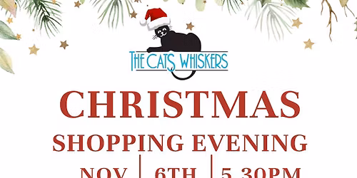 Christmas Shopping Evening