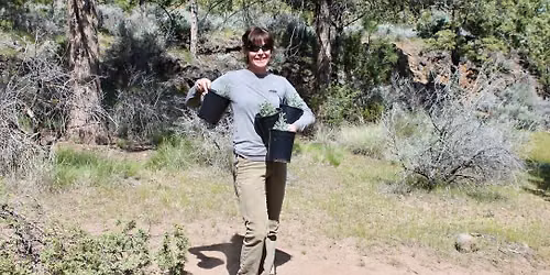 Volunteer Project Day \u2013 Planting native species