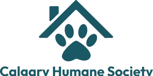 Animal Apprentices Winter Club (ages 7-9)