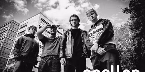 Harbour Place x Sin Dream \/\/ Apollon