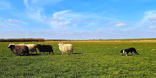 Seutertrial klasse 1.6 en 1.5