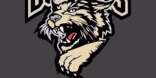 Austin Bruins vs. Bismarck Bobcats