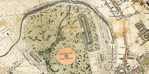 The 23rd Autumn Aubergine