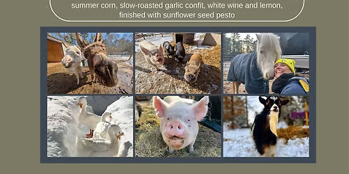 A Three Course Dinner Supporting a Rare Animal Rescue Opportunity