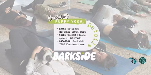Rescue Puppy Yoga at Barkside (9:45am)