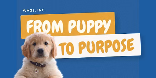 From Puppy to Purpose: Learn How to Become a Volunteer Trainer for WAGS