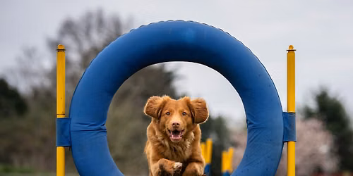Intro to Agility