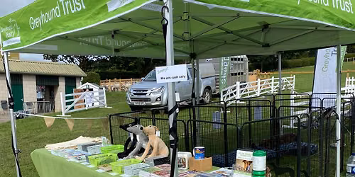 Great Yorkshire Show (Day 2)