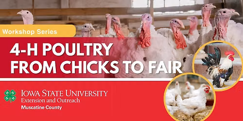 4-H Poultry Workshop- Session 2