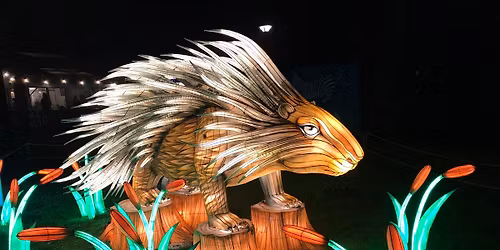 Wild Lanterns at Zoolights, Woodland Park Zoo, Seattle