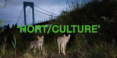 HORT\/CULTURE: Gotham Coyote Project + Lady Pink