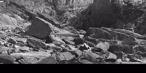 The Avett Brothers, Mike Patton in Lewiston