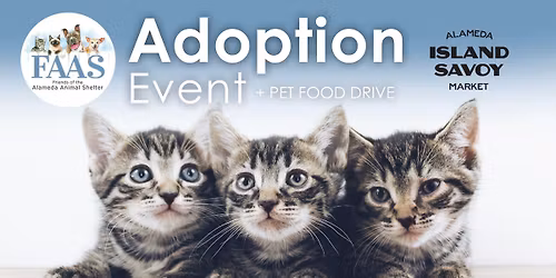 Adoption Event + Pet Food Drive at Island Savoy Market !