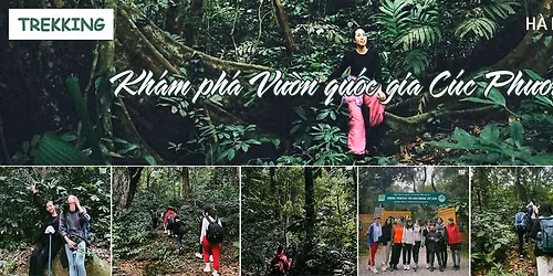Tour Trekking H\u00e0 N\u1ed9i - Ninh B\u00ecnh (1 ng\u00e0y) | Kh\u00e1m ph\u00e1 V\u01b0\u1eddn qu\u1ed1c gia C\u00fac Ph\u01b0\u01a1ng