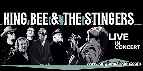 King Bee & The Stingers Live at Stevie Ray's Louisville, KY 11\/08\/25