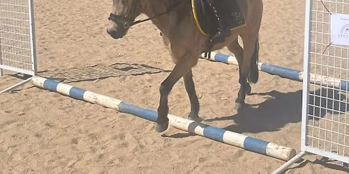 Cranbourne PC Freshmans Day