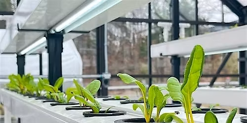 Copy of Grow Smarter: A Hands-On Hydroponics Workshop for Home Growers