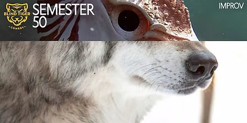 Intro to Improv 1 with Syd Sundays starting Mar 29