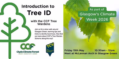 Introduction to Tree ID with CCF Tree Wardens