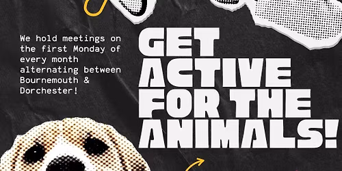 First Dorset Animal Action Meeting in Dorchester