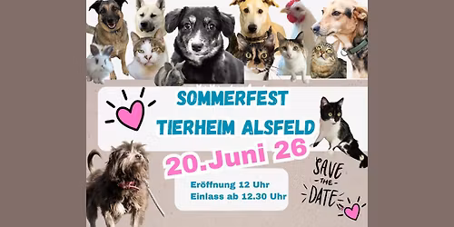 Sommerfest im Tierheim Alsfeld