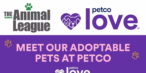 Meet-and-Greet Adorable Adoptables at Petco