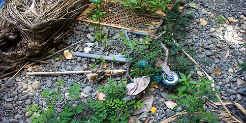 Midweek Cleanup on Los Gatos Creek At Coe - Willow Glen Trestle