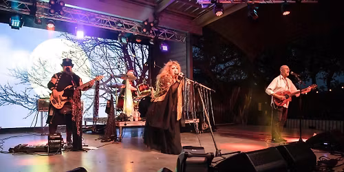 Nightbird at Waller Feed Store 