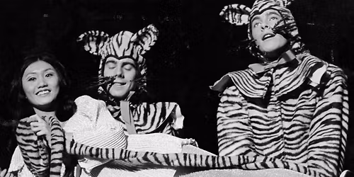 Princeton's Famous Triangle Show