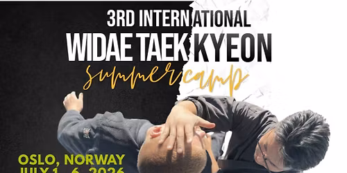 Widae Taekkyeon summer camp 2026