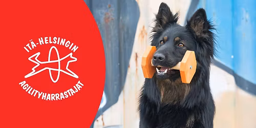 I-HAH Tokokoe 23.6.2026