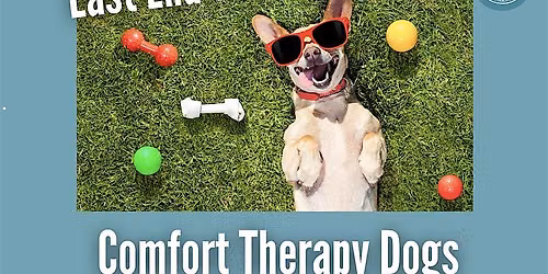 Comfort Therapy Dogs