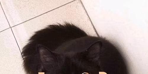 Pet Food Pantry limited to Hardin County, Ohio residents