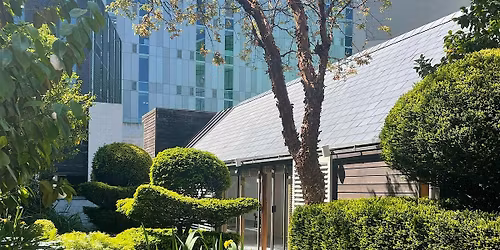 An afternoon in the garden with Robert Watson \u2013 Sir Miles Warren garden tou