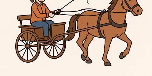 Foundations of Horse Driving Clinic with Katie Haberli