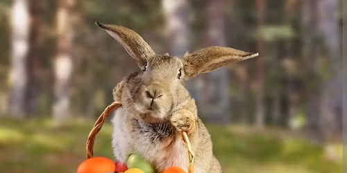 easter bunny beauty 8 