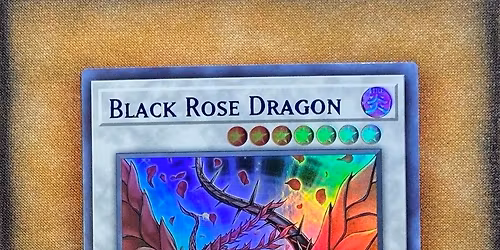 Elite Tuner New Mexico