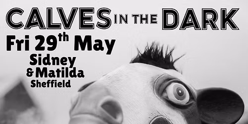 Calves In The Dark + Supports @ Sidney &amp; Matilda - Sheffield 