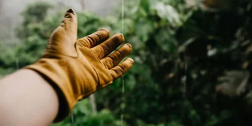 Introduction to Rain Gardens