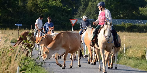 RHD Team penning tr\u00e6ning 12\/4