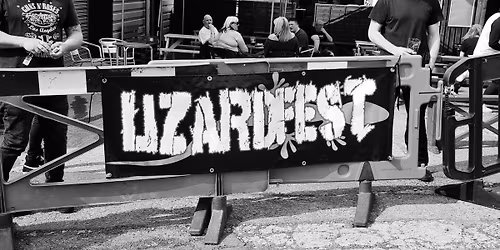 Lizardfest 45