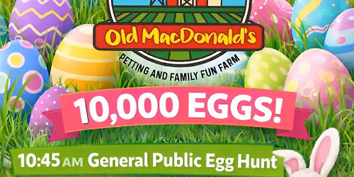 The Farm\u2019s 3rd Annual Easter Egg Hunt!! 