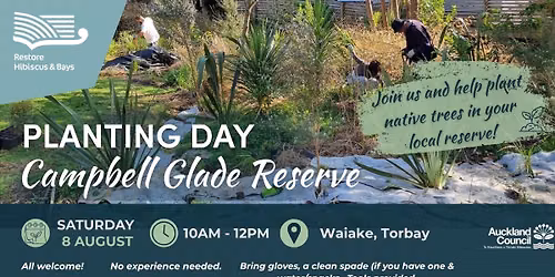 Campbell Glade Reserve, Waiake - Community Planting Day