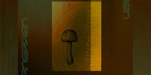 bullet tooth, parashoot, SUE SIX