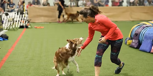 Agility Seminars with Liz Randall